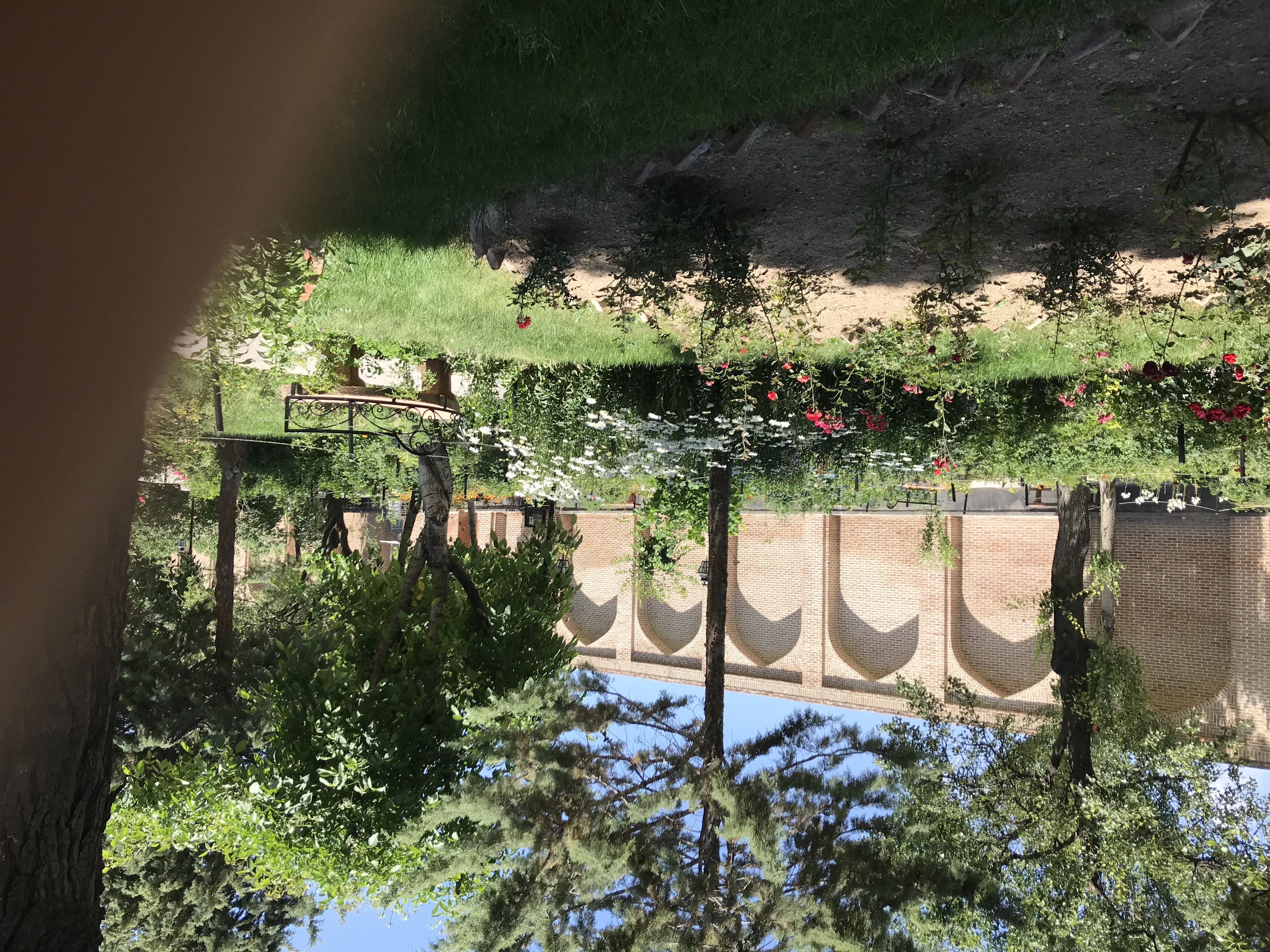 سپیده مصباحی